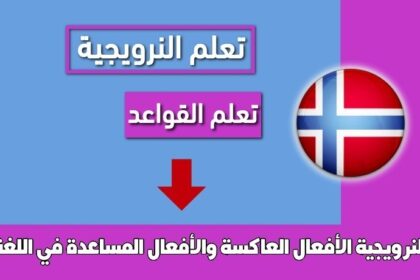 الأفعال العاكسة والأفعال المساعدة في اللغة النرويجية