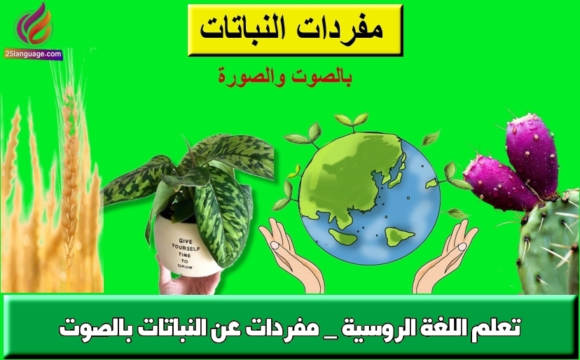 تعلم اللغة الروسية _ مفردات عن النباتات بالصوت