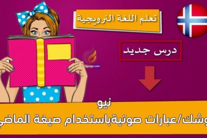 نيو نوشك/عبارات صوتيةباستخدام صيغة الماضي