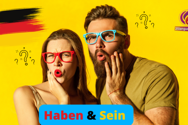 فعل الكون (Sein) وفعل الملكية (Haben) في اللغة الألمانية.