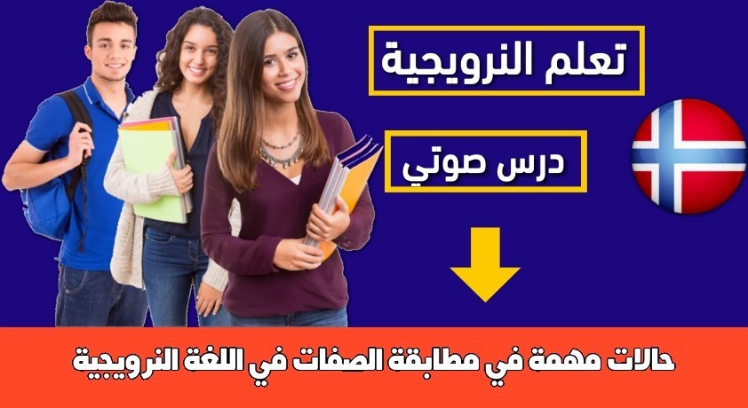 حالات مهمة في مطابقة الصفات في اللغة النرويجية