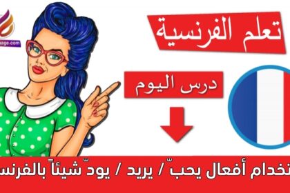 استخدام أفعال يحبّ / يريد / يودّ شيئاً بالفرنسية