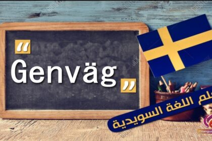 المفردة Genväg باللغة السويدية
