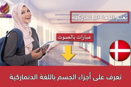 تعرف على أجزاء الجسم باللغة الدنماركية