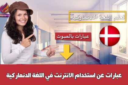 عبارات عن استخدام الانترنت في اللغة الدنماركية