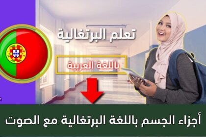 أجزاء الجسم باللغة البرتغالية مع الصوت