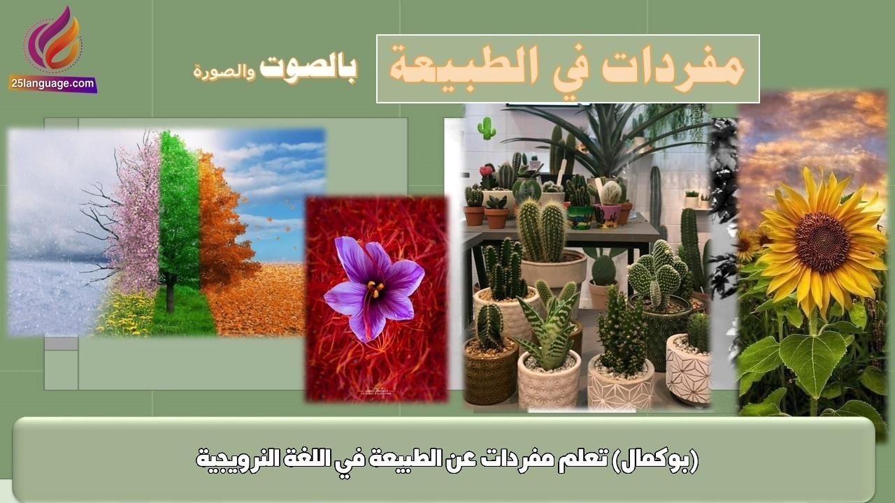 تعلم مفردات عن الطبيعة في اللغة النرويجية (بوكمال)