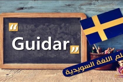 Guidar فعل مهم و شائع باللغة السويدية