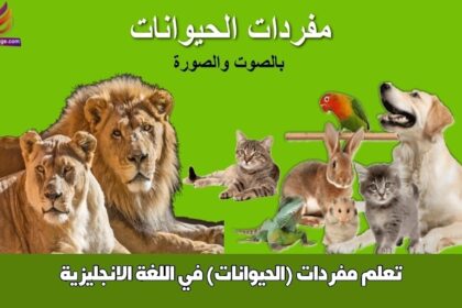 تعلم مفردات (الحيوانات) في اللغة الانجليزية