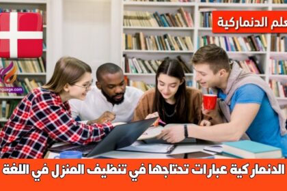 عبارات تحتاجها في تنظيف المنزل في اللغة الدنماركية