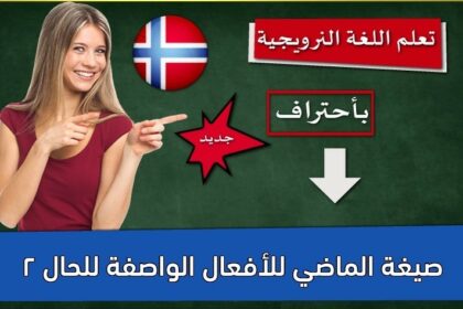 صيغة الماضي للأفعال الواصفة للحال 2