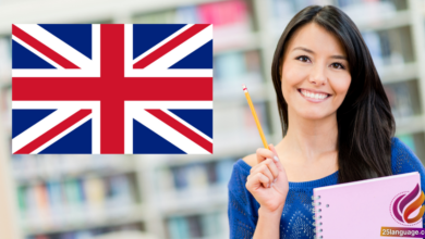 استخدام أدوات النفي والاختيار في اللغة الانكليزية