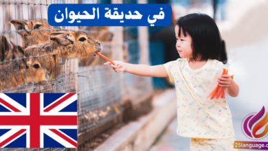 زيارة إلى حديقة الحيوان باللغة الإنكليزية