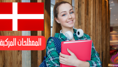 المصطلحات المركبة في اللغة الدنماركية