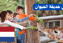 زيارة إلى حديقة الحيوان باللغة الهولندية
