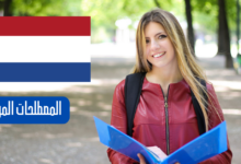 المصطلحات المركبة في اللغة الهولندية