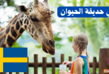 زيارة إلى حديقة الحيوان باللغة السويدية