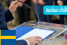 المصطلحات السياسية والعسكرية في اللغة السويدية