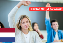 الضمائر الاستفهامية في اللغة الهولندية