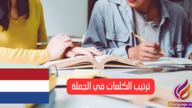 ترتيب الكلمات في الجملة الفرعية في اللغة الهولندية