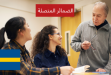 الضمائر المتصلة (Relativa pronomen) في اللغة السويدية
