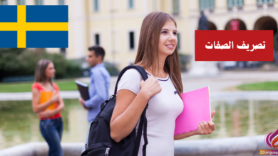 تصريف الصفات Böjning av adjektiv في اللغة السويدية