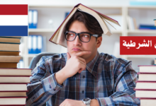 استخدام الجمل الشرطية في اللغة الهولندية