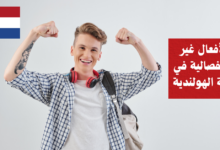 الأفعال غير الانفصالية في اللغة الهولندية