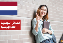 الضمائر الموصولة في اللغة الهولندية