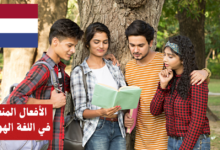 الأفعال المنعكسة في اللغة الهولندية