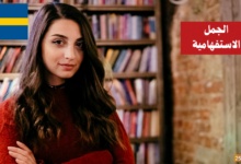 الجمل الاستفهامية Frågesatser في اللغة السويدية