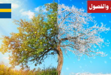 التحدث عن الطقس والفصول في اللغة السويدية