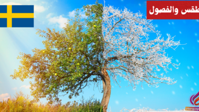 التحدث عن الطقس والفصول في اللغة السويدية