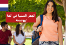 الجمل السلبية في اللغة الهولندية