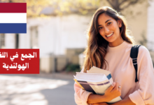 الجمع في اللغة الهولندية