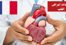 مفردات أمراض القلب بالفرنسية
