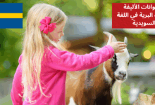 التحدث عن الحيوانات الأليفة والحياة البرية في اللغة السويدية