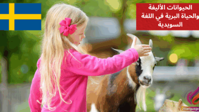 التحدث عن الحيوانات الأليفة والحياة البرية في اللغة السويدية