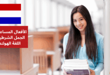 استخدام الأفعال المساعدة في الجمل الشرطية في اللغة الهولندية