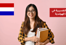 الجمل التفسيرية في اللغة الهولندية