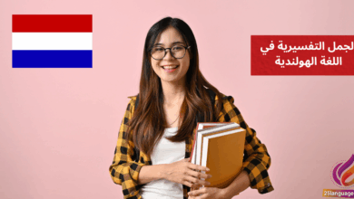الجمل التفسيرية في اللغة الهولندية