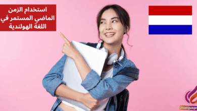 استخدام الزمن الماضي المستمر في اللغة الهولندية