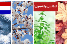 استمتع بتعلم الهولندية حديث ممتع عن الطقس والفصول