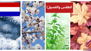 استمتع بتعلم الهولندية حديث ممتع عن الطقس والفصول