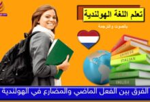 الفرق بين الفعل الماضي والمضارع في الهولندية