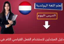 دليل المبتدئين لاستخدام الفعل القياسي التام في الهولندية