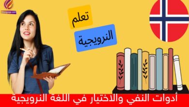 أدوات النفي والاختيار في اللغة النرويجية