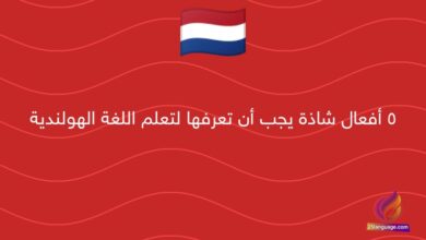 5 أفعال شاذة يجب أن تعرفها لتعلم اللغة الهولندية