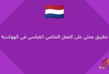 تطبيق عملي على الفعل الماضي القياسي في الهولندية
