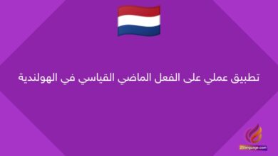 تطبيق عملي على الفعل الماضي القياسي في الهولندية